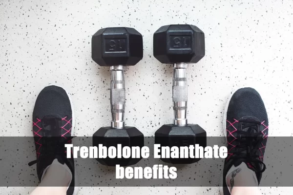 Trenbolone Enanthate: The Most Popular Benefits