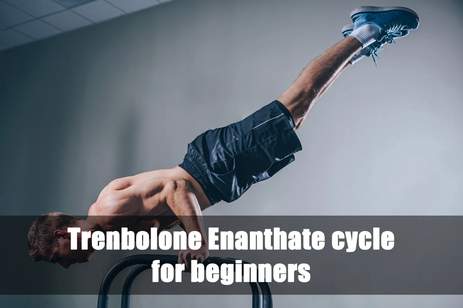 Trenbolone Enanthate cycle for beginners