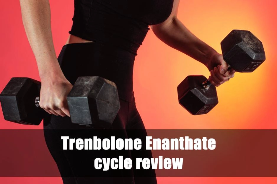 Trenbolone Enanthate cycle review