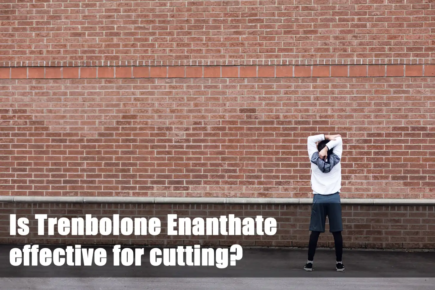Trenbolone Enanthate effectiveness for cutting