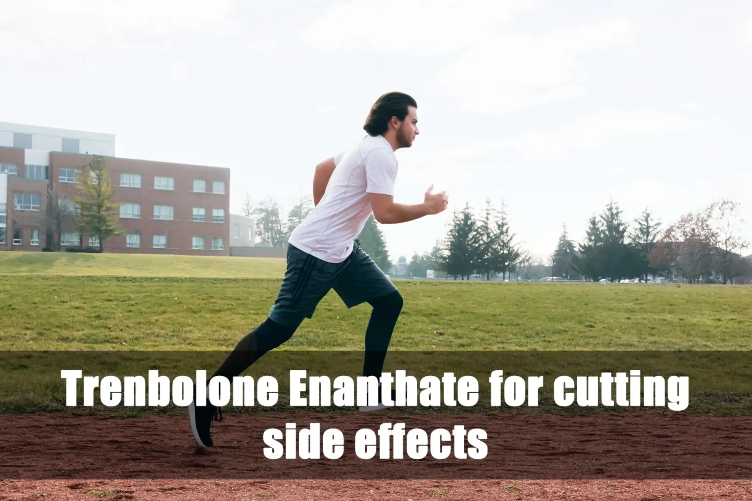 Trenbolone Enanthate cutting side effects
