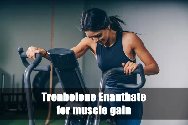 What Do You Need to Know About Trenbolone Enanthate for Muscle Gain?