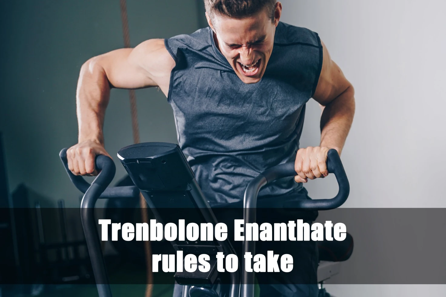 Trenbolone Enanthate rules to take