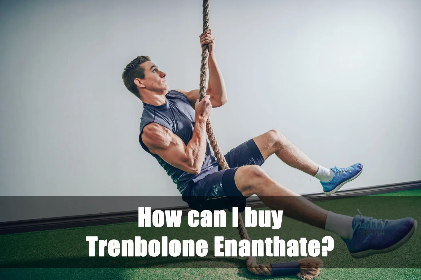 Where to buy Trenbolone Enanthate