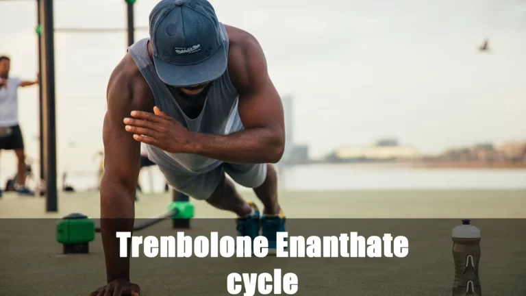 Trenbolone Enanthate cycle